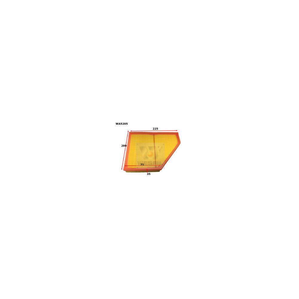 Wesfil AIR FILTER BMW - WA5295