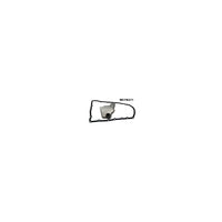 Wesfil TRANSMISSION FILTER KIT RENAULT/NISSAN - WCTK271