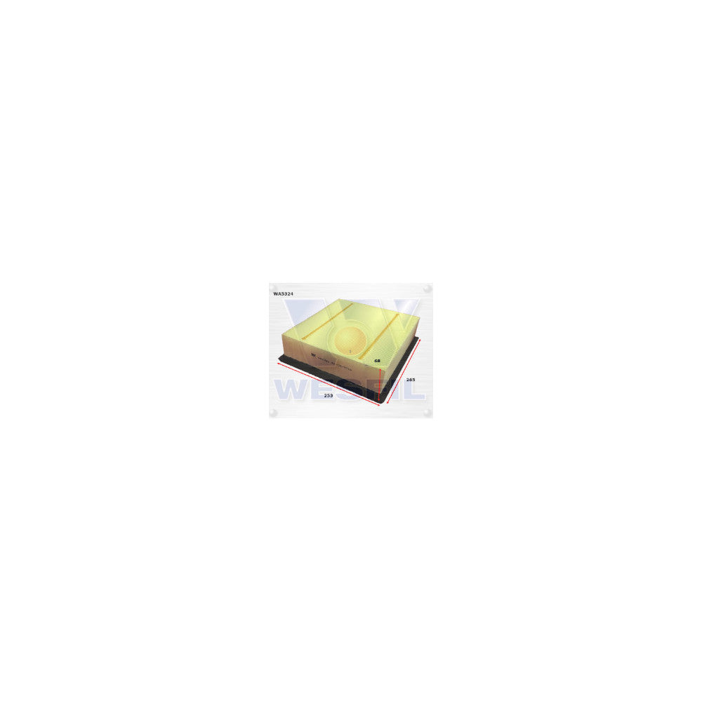 Wesfil AIR FILTER FORD - WA5324