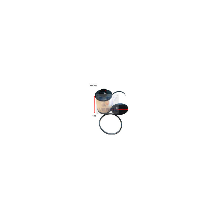 Wesfil DIESEL FUEL FILTER R2661P HOLDEN - WCF99