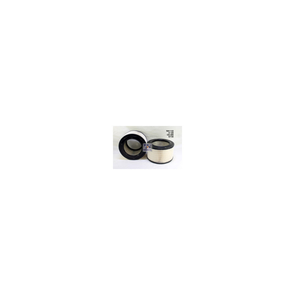 Wesfil AIR FILTER A1510 KIA - WA1133