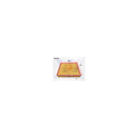 Wesfil AIR FILTER A1480 BMW - WA990