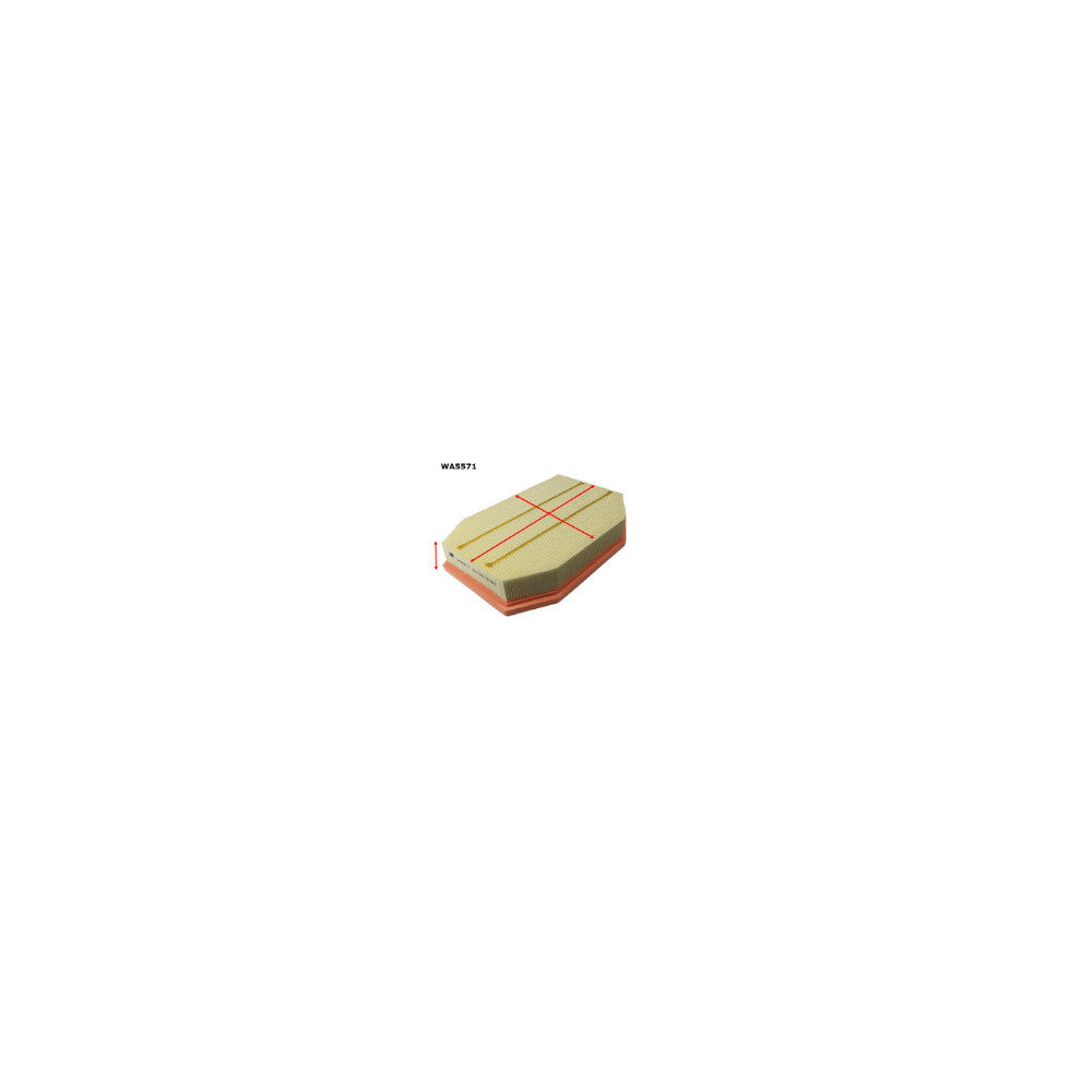 Wesfil AIR FILTER BMW - WA5571