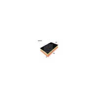 Wesfil AIR FILTER BMW - WA5255
