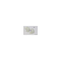 Wesfil PLASTIC IN-LINE FUEL FILTER Z434 FORD/MAZDA - WZ434