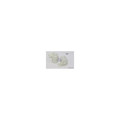 Wesfil PLASTIC IN-LINE FUEL FILTER Z434 FORD/MAZDA - WZ434