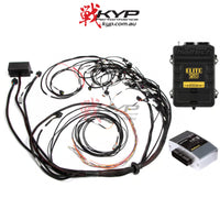 HALTECH Elite 2500 + Terminated Harness Kit For Ford Falcon FG Barra 4.0L I6 - HT-151369