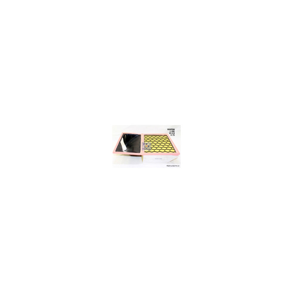 Wesfil AIR FILTER A1977 IVECO - WA5304