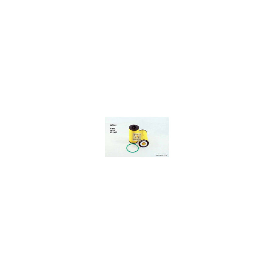 Wesfil OIL FILTER R2694P HOLDEN - WCO91