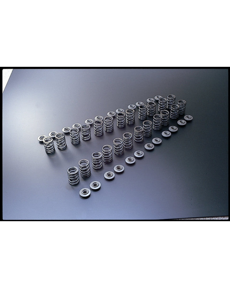 TOMEI VALVE SPRING RB26DETT B-TYPE