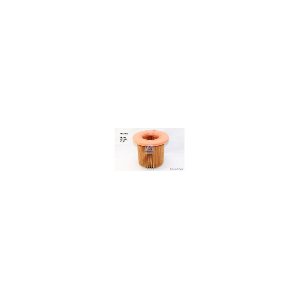 Wesfil AIR FILTER A1436 FORD - WA1071