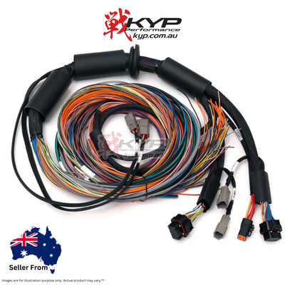 HALTECH Nexus R3 Universal Wire-in Harness - 2.5m (8') - HT-183200