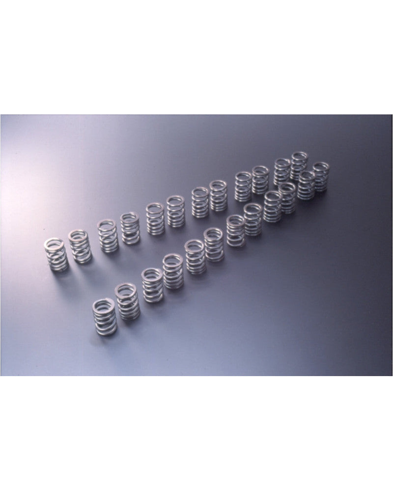 TOMEI VALVE SPRING RB26DETT A-TYPE