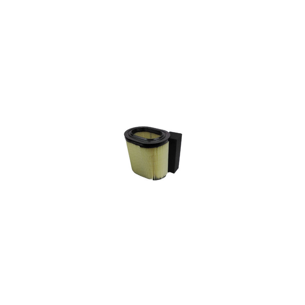 Wesfil AIR FILTER FORD - WA5608